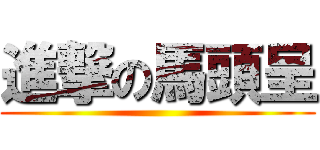 進撃の馬頭呈 ()