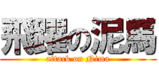飛躍の泥馬 (attack on Nima)