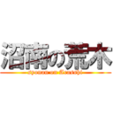 沼南の荒木 (syonan on Arasshi)