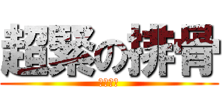 超緊の排骨 (森の妖精)