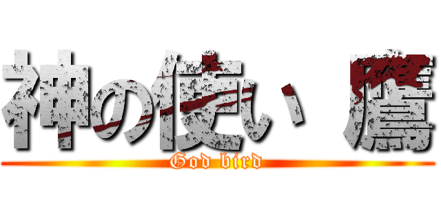 神の使い 鷹 (God bird)