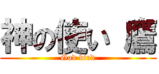 神の使い 鷹 (God bird)