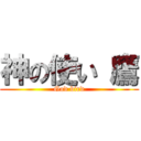 神の使い 鷹 (God bird)