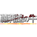 蘿莉控の牛 (criminal  on Type100)