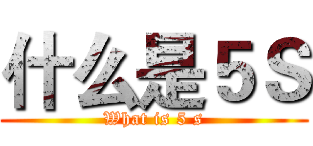 什么是５Ｓ (What is 5 s)
