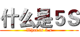 什么是５Ｓ (What is 5 s)
