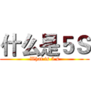 什么是５Ｓ (What is 5 s)