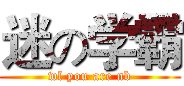 迷の学霸 (wl you are nb)