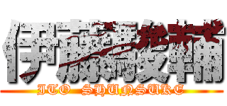 伊藤駿輔 (ITO  SHUNSUKE)