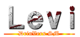 Ｌｅｖｉ (DrinVers SM)