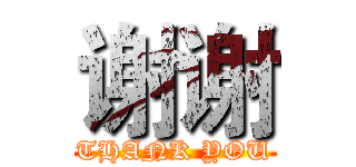 谢谢 (THANK YOU)