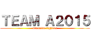 ＴＥＡＭ Ａ２０１５ (minamino fighters)