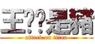 王彥羢是豬 (attack on titan)