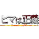 ヒマは正義 ((( _ _ ))..zzzZZ)