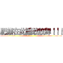 肥熊在此誰敢放肆！！！ ()