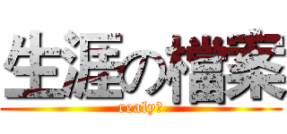 生涯の檔案 (realy?)