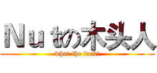 Ｎｕｔの木头人 (what the fuck!)