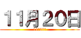 １１月２０日 (11月20日)