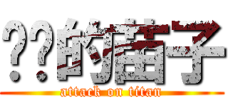 进击的苗子 (attack on titan)