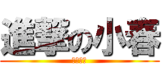 進撃の小春 (要減肥肥)