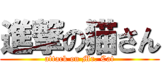 進撃の猫さん (attack on Mr. Cat)