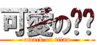 可愛の揪咪 (attack on titan)