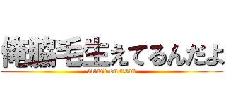 俺脇毛生えてるんだよ (attack on titan)