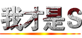 我才是Ｓ ()