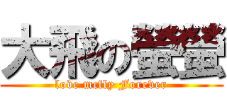 大飛の螢螢 (love mcfly Forever)