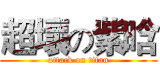 超壞の紫晗 (attack on titan)