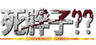 死胖子孙芮 (attack on titan)