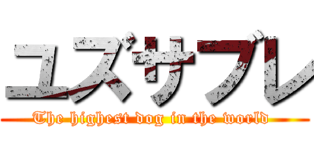 ユズサブレ (The highest dog in the world )