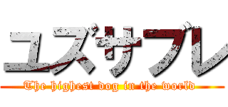 ユズサブレ (The highest dog in the world )