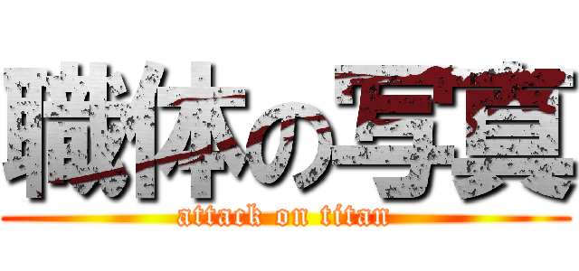 職体の写真 (attack on titan)