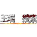 王瑞喆搜索 (wangruizhe search)