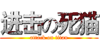 进击の死猫 (attack on titan)