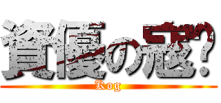 資優の寇翎 (Kog)