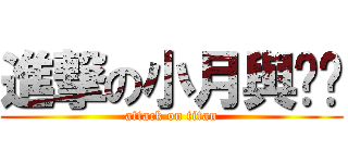 進撃の小月與玥喵 (attack on titan)