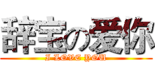 辞宝の爱你 (I LOVE YOU)