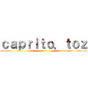 ｃａｐｒｉｔｏ．ｔｏｚ ()