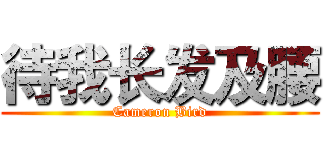 待我长发及腰 (Cameron Bird)