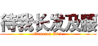 待我长发及腰 (Cameron Bird)