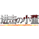 进击の小董 (attack on StrongLED)