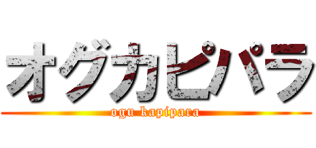 オグカピパラ (ogu kapipara)