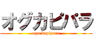 オグカピパラ (ogu kapipara)