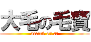 大毛の毛寶 (attack on 毛子)