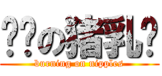 红烧の猪乳头 (burning on nipples)