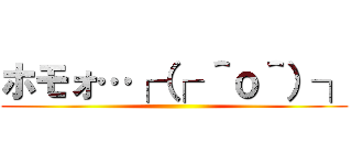 ホモォ…┌（┌ ＾ｏ＾）┐ ()