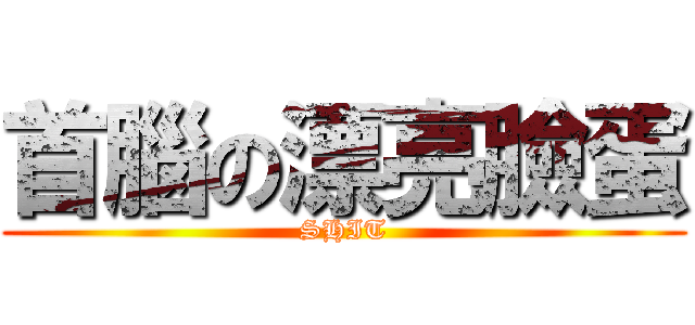 首腦の漂亮臉蛋 (SHIT)