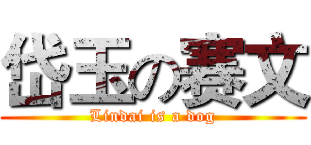 岱玉の赛文 (Lindai is a dog)